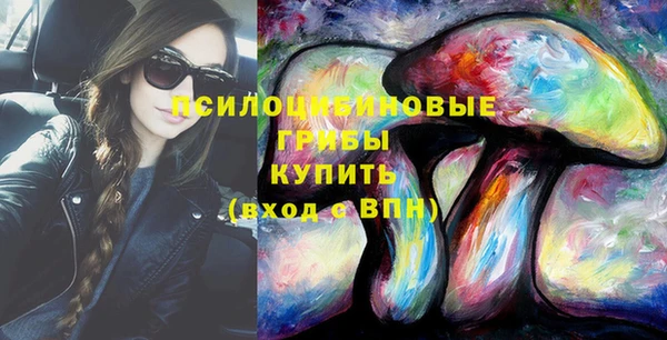 стафф Великий Новгород