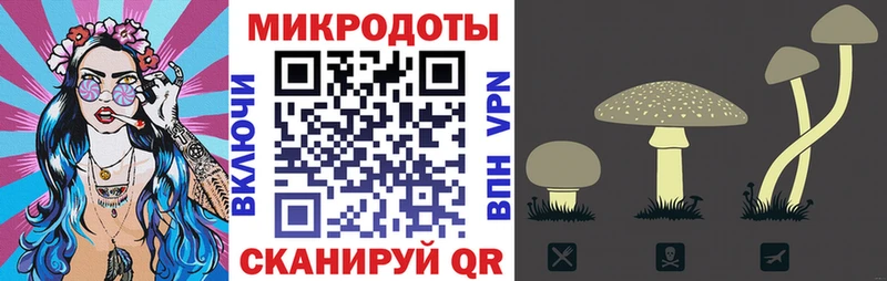 Галлюциногенные грибы GOLDEN TEACHER где можно купить Гороховец